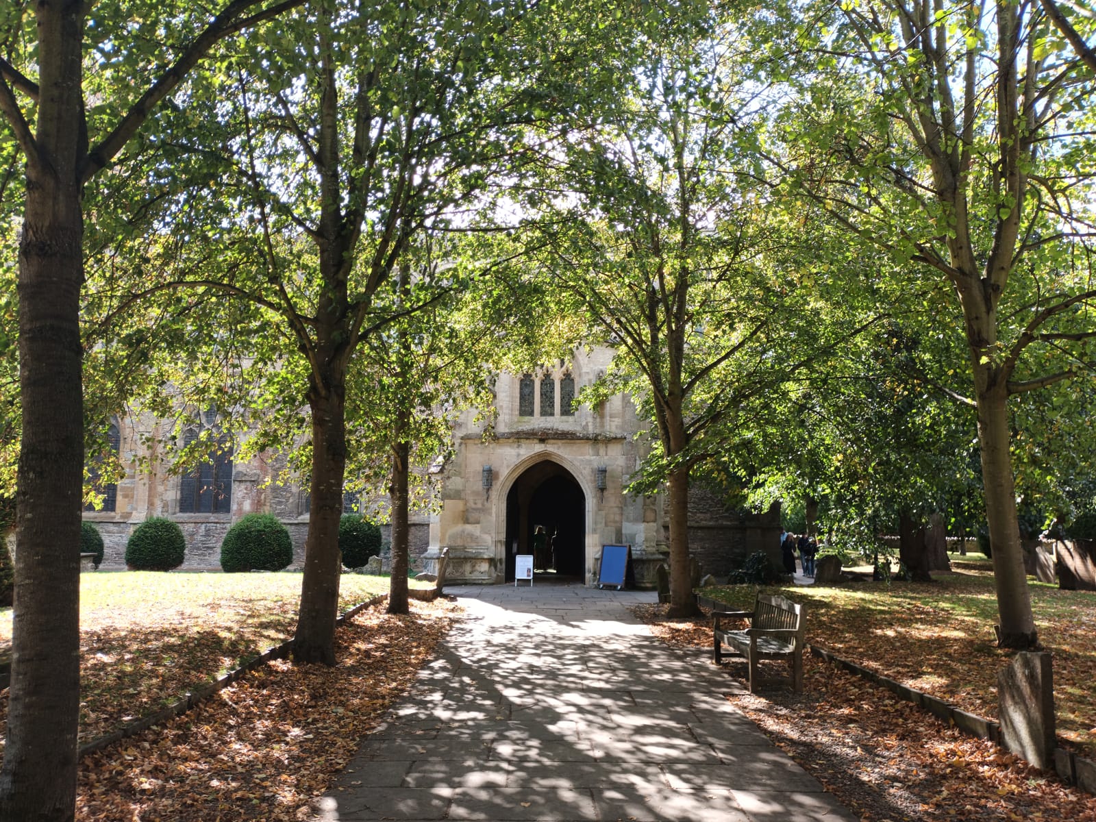 The lime avenue leading to Holy Trinity Church in Stratford-upon-Avon